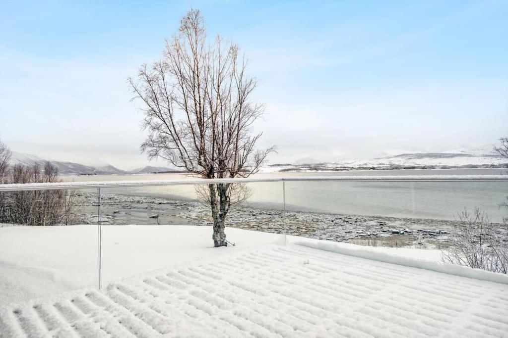 Hus Med Egen Strandlinje ทรอมโซ ภายนอก รูปภาพ